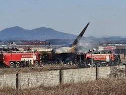Profil Jeju Air yang Pesawatnya Kecelakaan di Bandara Muan
