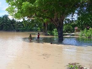 600 Ha Lahan Pertanian di Fahiluka Malaka Terancam Gagal Panen Akibat Banjir 600 Ha Lahan Pertanian di Fahiluka Malaka Terancam Gagal Panen Akibat Banjir