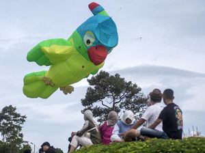 Festival Layang-layang Hiasi Langit Bandung Barat