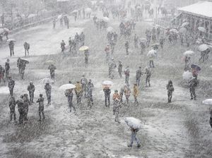 Cuaca Ekstrem di India, Kepolisian Evakuasi 8 Ribu Wisatawan dari Salju Tebal Cuaca Ekstrem di India, Kepolisian Evakuasi 8 Ribu Wisatawan dari Salju Tebal