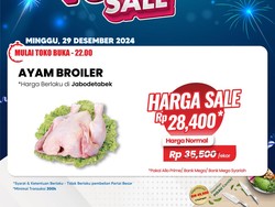 Dijamin Murah! Beli Ayam Broiler di Transmart Full Day Sale Cuma Rp 28 Ribuan
