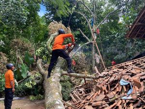 Pohon Tumbang Imbas Angin Kencang Timpa Rumah Warga di Jonggol Bogor Pohon Tumbang Imbas Angin Kencang Timpa Rumah Warga di Jonggol Bogor