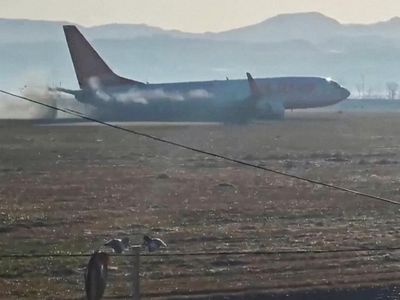 Detik-detik Kecelakaan Jeju Air di Korsel