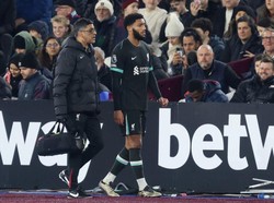 Joe Gomez Cedera, Terancam Absen Lama