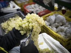 5 Tradisi Sajian Tahun Baru di Dunia yang Dipercaya Bawa Keberuntungan