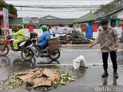 Ibu dan Menantu di Pangkalpinang Tewas Tertimpa Pohon Tumbang