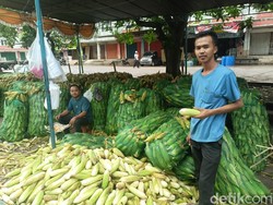 Tahun Baru Sebentar Lagi, Pedagang Jagung Palembang Malah Sepi Pembeli