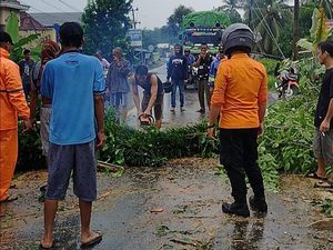 Pohon Tumbang di Muba Dipicu Cuaca Ekstrem, Jalan Palembang-Sekayu Macet