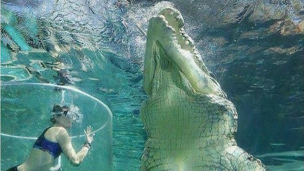 Jika Mengidap Megalophobia Jangan Lihat Foto Ini, Jangan Ya Dek