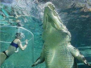 Jika Mengidap Megalophobia Jangan Lihat Foto Ini, Jangan Ya Dek Jika Mengidap Megalophobia Jangan Lihat Foto Ini, Jangan Ya Dek