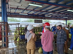 Pertamina dan Pemkot Lubuklinggau Ungkap Penyebab LPG 3 Kg Langka