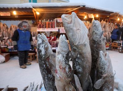 Potret Pasar Ikan di Kota Terdingin Dunia