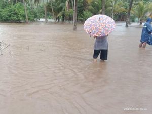 Banjir di Sikka: 2 Rumah Hanyut, 32 Terendam, Ternak Warga Ikut Terbawa