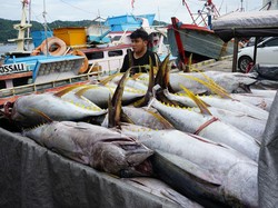 RI Ikut Forum Dunia, Cari Dana Hibah-Utang untuk Sektor Kelautan