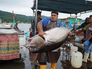 PNBP Perikanan 2024 Capai Rp 955,39 M, KKP: Banyak Pelaku Usaha Sadar PNBP Perikanan 2024 Capai Rp 955,39 M, KKP: Banyak Pelaku Usaha Sadar