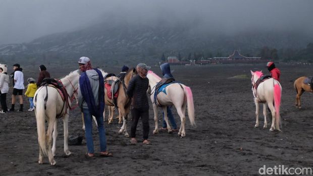 Kunjungan Wisatawan ke Gunung Bromo Menurun dikala perubahan tahun 2025