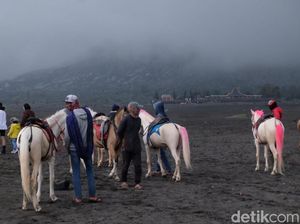 TNBTS Buka Kuota Tambahan Kunjungan Wisatawan ke Gunung Bromo TNBTS Buka Kuota Tambahan Kunjungan Wisatawan ke Gunung Bromo