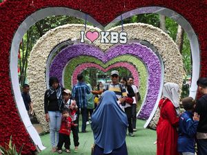 Libur Tahun Baru, Kebun Binatang Surabaya Dipadati Pengunjung Libur Tahun Baru, Kebun Binatang Surabaya Dipadati Pengunjung