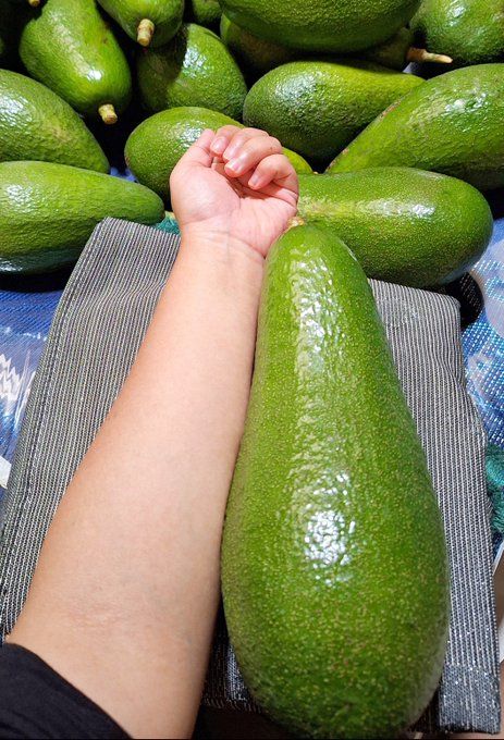 Netizen Panen Buah Raksasa dari Alpukat hingga Pepaya, Ini Tampilannya