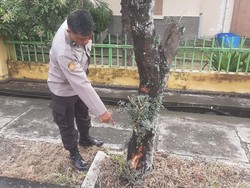 Bukan Korban Klitih, Pemotor Boncengan di Bantul Tabrak Pohon gegara Mabuk