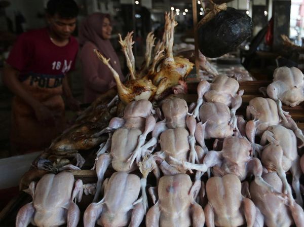 Produk Pangan Tak Kena PPN 12 Persen