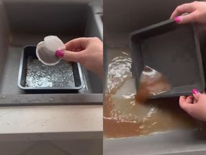 Hanya Pakai Kantong Teh, Loyang Berminyak Bisa Kinclong Hanya Pakai Kantong Teh, Loyang Berminyak Bisa Kinclong