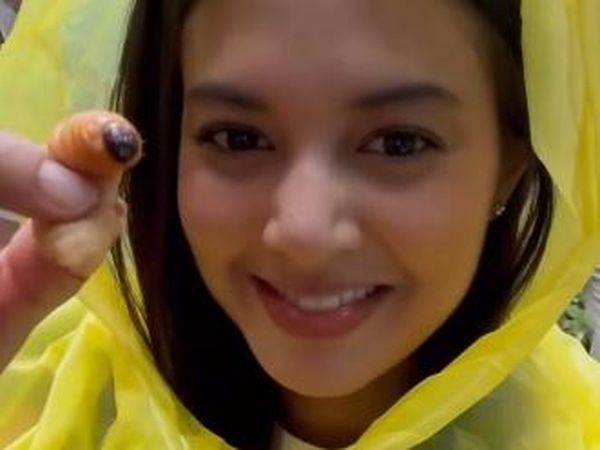 Petualangan Aurelie Moeremans Panen Kopi hingga Makan Ulat Sagu