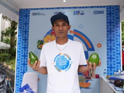 Program Klasterku Hidupku BRI Berdayakan Petani Alpukat Probolinggo