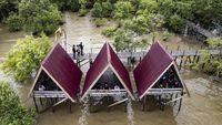 Geliat Wisata Hutan Bakau di Jambi