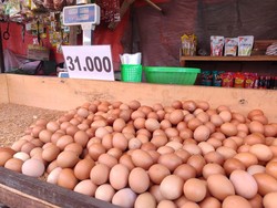 Awal Tahun 2025, Harga Telur Ayam Masih Mahal!