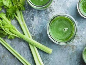 8 Manfaat Mengkonsumsi Seledri dan Mitos-mitosnya 8 Manfaat Mengkonsumsi Seledri dan Mitos-mitosnya