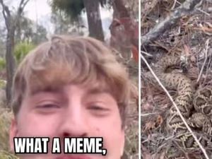 Influencer Digigit Ular Derik Malah Sibuk Ngontenin Sambil Bercanda