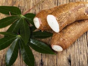 Termasuk Kuliner Nusantara, Singkong dan Ubi Bisa Jadi Camilan Kekinian