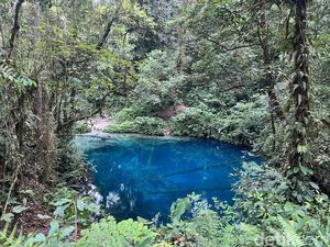 Danau Kaco Jambi Ditutup gegara Harimau, Kepala BBTNKS: Ada Misinformasi Danau Kaco Jambi Ditutup gegara Harimau, Kepala BBTNKS: Ada Misinformasi
