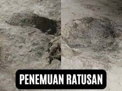 Video: Ratusan Jejak Kaki Dinosaurus Jurassic Ditemukan di Inggris