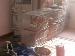 Begini Ulah Penyewa yang Bikin Pemilik Kontrakan Murka