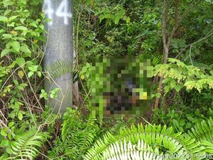 Warga Jambi Temukan Mayat Pria di Bawah Gardu Listrik, Diduga Kesetrum