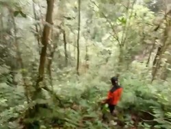 Hilang Saat Mendaki Gunung Talang, Pendaki ini Ditemukan Selamat di Jurang