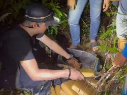 Ganja 14 Kg yang Diamankan Polisi di Pangkalpinang Ternyata Jaringan Medan