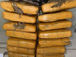Ibnu yang Ditangkap di Pangkalpinang Bawa 14 Kg Ganja Ternyata Bandar Ibnu yang Ditangkap di Pangkalpinang Bawa 14 Kg Ganja Ternyata Bandar