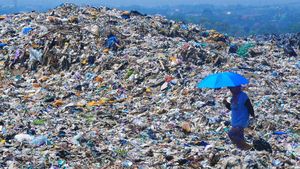 Potret Gunung Sampah di TPA Tanjungrejo Kudus