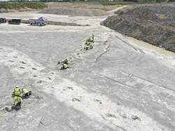 Ratusan Jejak Kaki Dinosaurus Ditemukan di Jalan Raya Dinosaurus Inggris