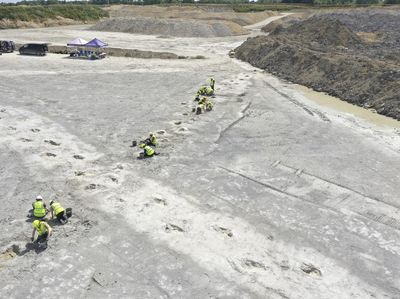 Ratusan Jejak Kaki Dinosaurus Ditemukan di Inggris