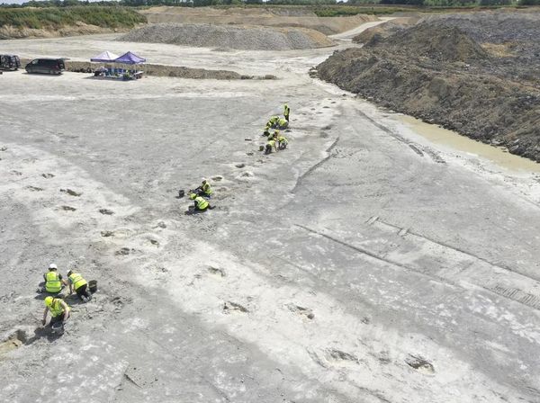 Ratusan Jejak Kaki Dinosaurus Ditemukan di Inggris