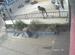 Hendak Lerai Perkelahian, Pria Belu Malah Ditikam