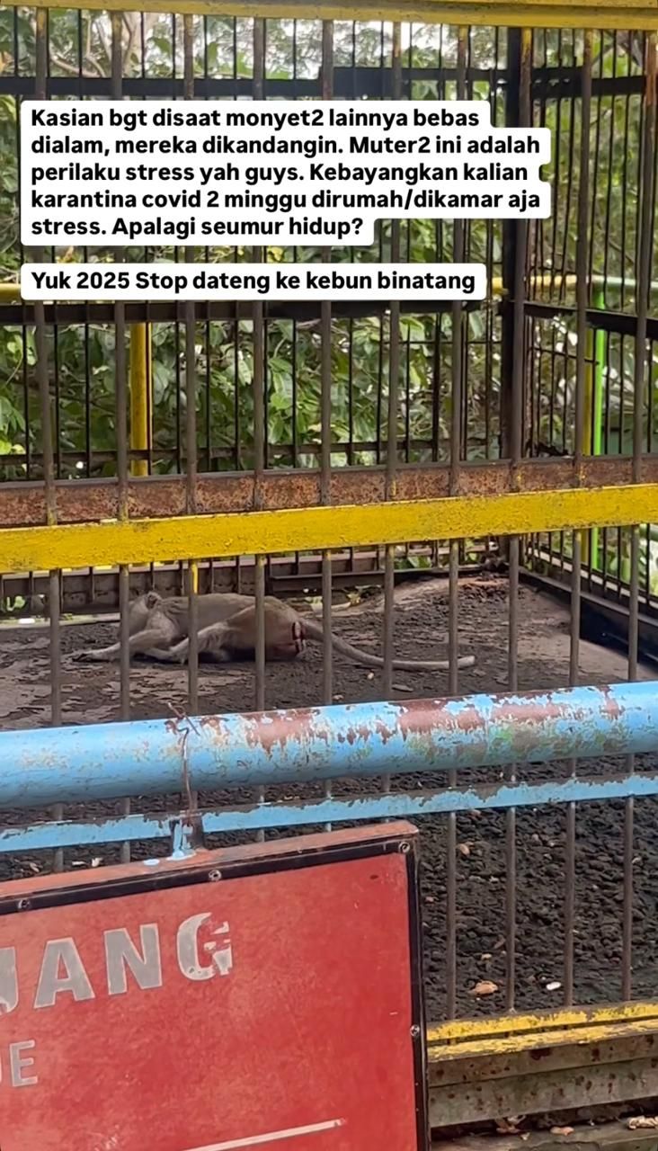 Taman Satwa Waduk Gajah Mungkur di Wonigiri Jadi Sorotan Netizen, Dinilai Tak Terurus hingga Gajah Dirantai