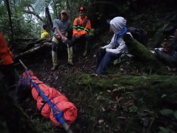 Pemuda Bengkulu Tewas Saat Daki Gunung Dempo Sumsel, Diduga Hipotermia