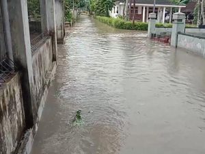 Puluhan Rumah Warga Wuluhan Jember Banjir, 300 Warga Terdampak