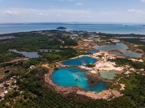 Walhi Babel Sebut Vonis Ringan Kasus Timah Rampas Hak Pemulihan Lingkungan Walhi Babel Sebut Vonis Ringan Kasus Timah Rampas Hak Pemulihan Lingkungan