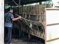 Penjelasan Dinas Peternakan soal 80 Kambing Mati Mendadak di Ponorogo